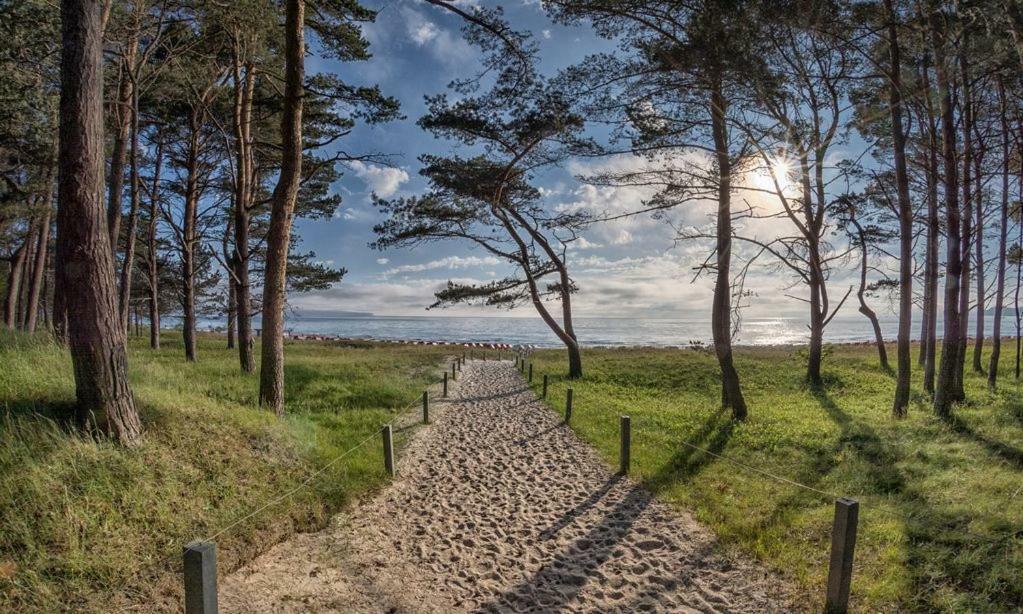 Direkt Am Strand Mit Meerblick Und Sauna - Fewo Strandidyll Остзебад Бинц Экстерьер фото